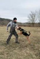 WhatsApp_Image_2026-03-02_at_19.06.50