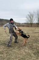 WhatsApp_Image_2026-03-02_at_19.06.501