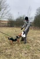 WhatsApp_Image_2026-03-02_at_19.06.502