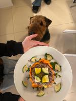 WhatsApp_Image_2026-03-08_at_18.21.31