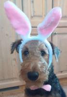 WhatsApp_Image_2026-04-05_at_14.22.141