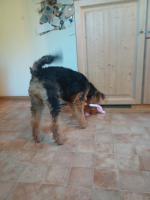 WhatsApp_Image_2026-04-05_at_14.22.15