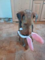 WhatsApp_Image_2026-04-05_at_14.22.151