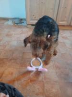 WhatsApp_Image_2026-04-05_at_14.22.152