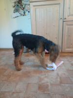 WhatsApp_Image_2026-04-05_at_14.22.153