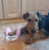 WhatsApp_Image_2026-04-05_at_14.22.155