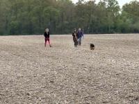 WhatsApp_Image_2026-04-19_at_18.54.05