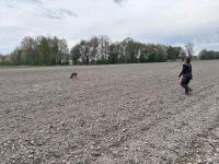 WhatsApp_Image_2026-04-19_at_18.54.17